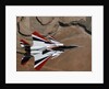 Red, White, and Blue F-15B in Flight by Anonymous
