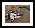 Red, White, and Blue F-15B in Flight by Anonymous