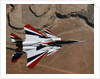 Red, White, and Blue F-15B in Flight by Anonymous