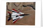 Red, White, and Blue F-15B in Flight by Anonymous