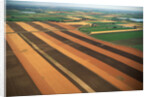 Wheat Fields by Anonymous