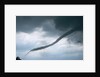 Tornado Funnel Cloud over Boulder, Colorado by Anonymous