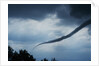 Tornado over Boulder, Colorado by Anonymous