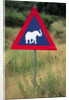 Elephant Crossing Sign by Anonymous