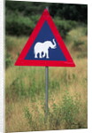 Elephant Crossing Sign by Anonymous