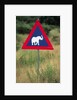Elephant Crossing Sign by Anonymous