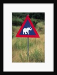 Elephant Crossing Sign by Anonymous