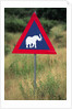 Elephant Crossing Sign by Anonymous