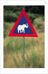 Elephant Crossing Sign by Anonymous