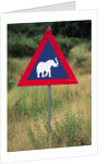 Elephant Crossing Sign by Anonymous