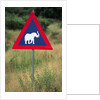 Elephant Crossing Sign by Anonymous