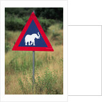 Elephant Crossing Sign by Anonymous