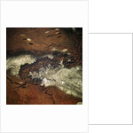 Grand Canyon by Anonymous