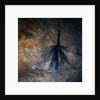 Okavango Delta and Swamp by Anonymous