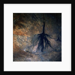 Okavango Delta and Swamp by Anonymous