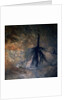Okavango Delta and Swamp by Anonymous