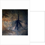 Okavango Delta and Swamp by Anonymous