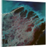 Low-Earth-Orbit View of the Irrawaddy River by Anonymous