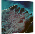Low-Earth-Orbit View of the Irrawaddy River by Anonymous