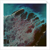 Low-Earth-Orbit View of the Irrawaddy River by Anonymous