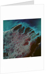 Low-Earth-Orbit View of the Irrawaddy River by Anonymous