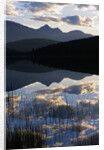 Sky and Clouds Reflecting In Patricia Lake by Anonymous