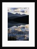 Sky and Clouds Reflecting In Patricia Lake by Anonymous