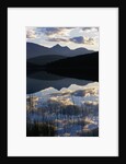 Sky and Clouds Reflecting In Patricia Lake by Anonymous