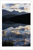 Sky and Clouds Reflecting In Patricia Lake by Anonymous