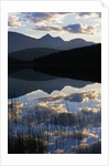 Sky and Clouds Reflecting In Patricia Lake by Anonymous
