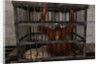 Juvenile Orangutan in Cage by Anonymous
