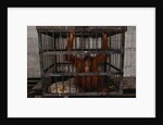 Juvenile Orangutan in Cage by Anonymous