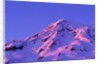 Sunset on Washington's Volcanic Mount Rainier by Anonymous