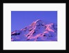 Sunset on Washington's Volcanic Mount Rainier by Anonymous