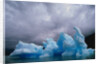 Iceberg Along Alaskan Wilderness by Anonymous