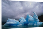 Iceberg Along Alaskan Wilderness by Anonymous
