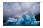 Iceberg Along Alaskan Wilderness by Anonymous