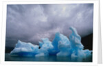 Iceberg Along Alaskan Wilderness by Anonymous