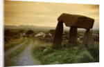 Dolmen in Irish Countryside by Anonymous