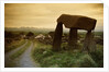 Dolmen in Irish Countryside by Anonymous