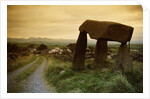 Dolmen in Irish Countryside by Anonymous