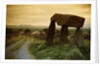 Dolmen in Irish Countryside by Anonymous