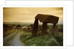 Dolmen in Irish Countryside by Anonymous