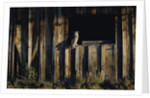 Great Horned Owl by Anonymous