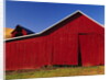 Red Barns by Anonymous