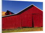 Red Barns by Anonymous