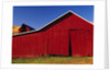 Red Barns by Anonymous