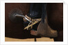 Chilean Cowboy with Elaborate Spurs by Anonymous