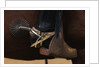Chilean Cowboy with Elaborate Spurs by Anonymous