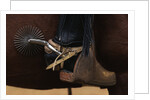 Chilean Cowboy with Elaborate Spurs by Anonymous